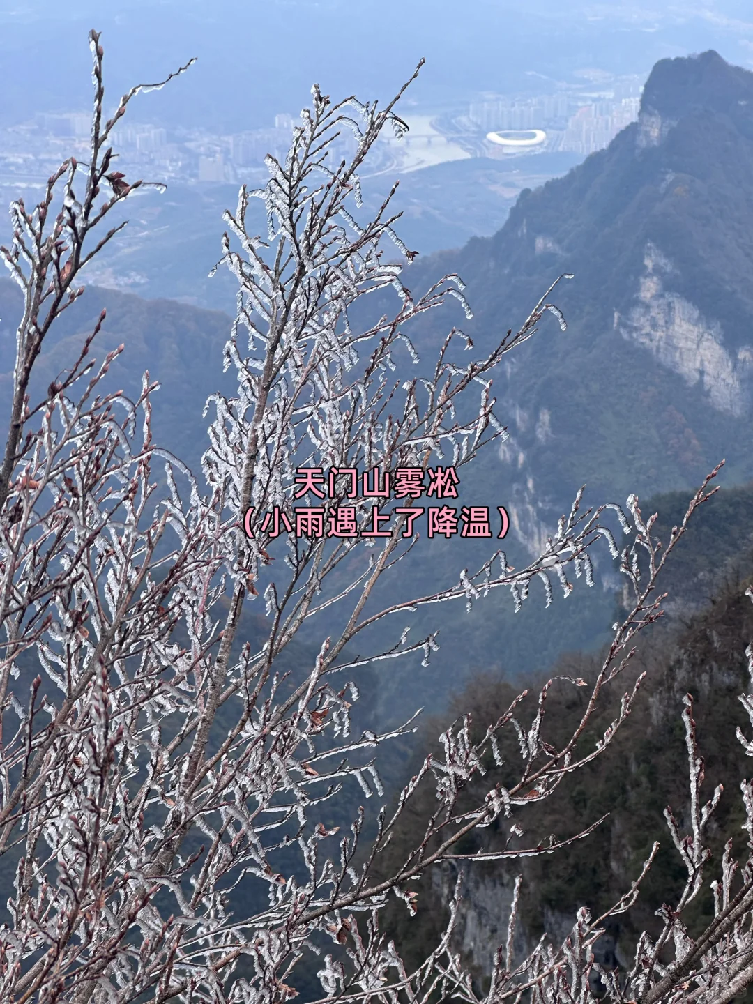 11月29日张家界景区实况