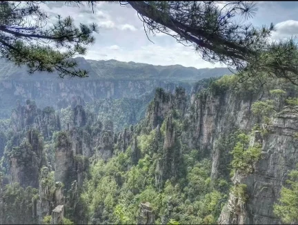 来来来，沉醉绝世美景