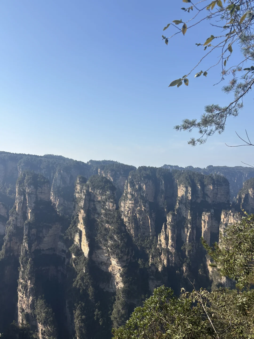 鹞子寨的风景也是美美哒小狗狗也是累累哒