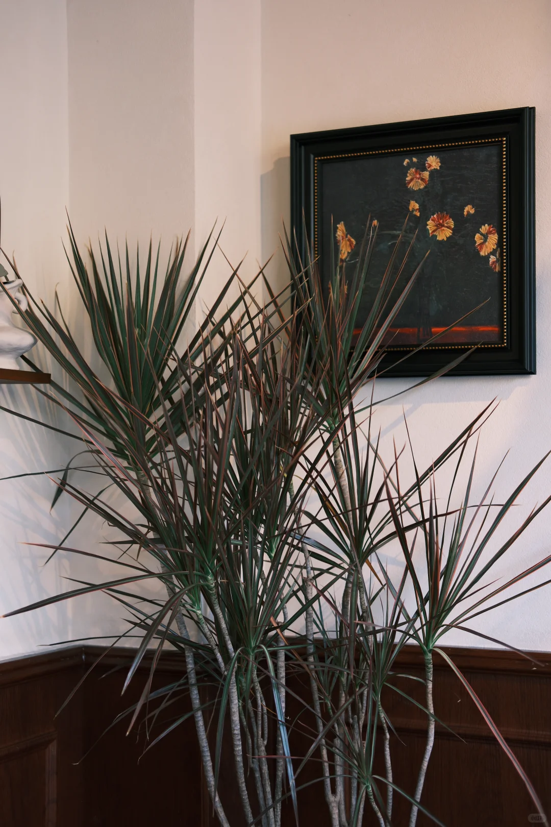 🎞📸张家界探店/1823coffee