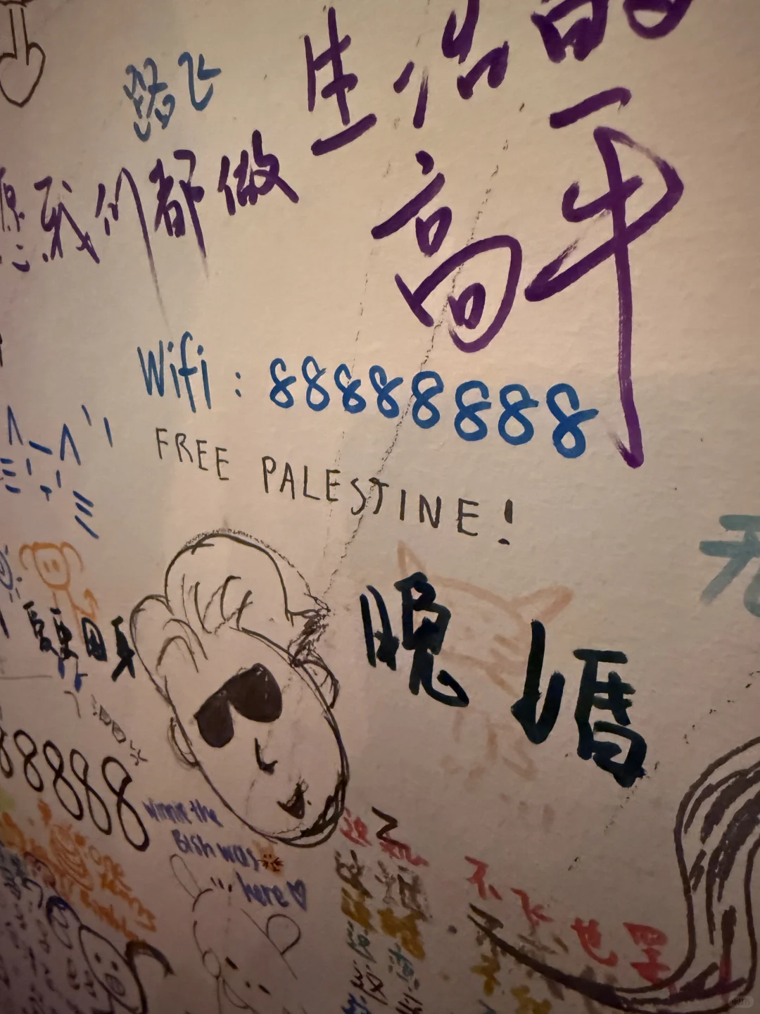 11月去张家界印象最深是这家酒吧