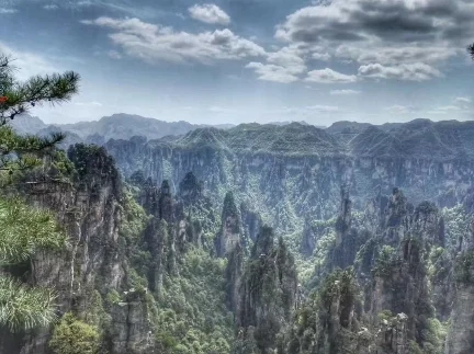 来来来，沉醉绝世美景