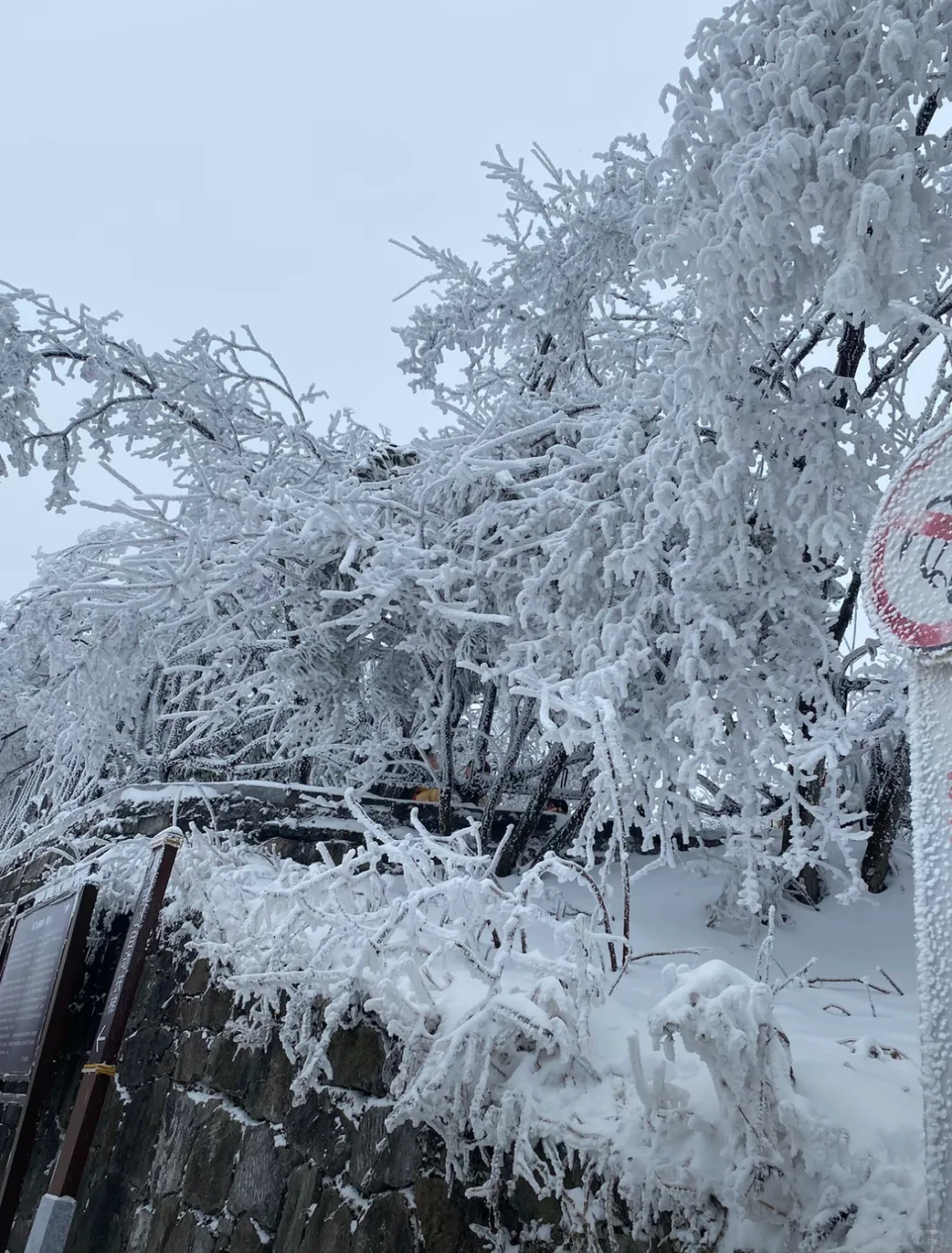 张家界天门山的雪❄️真的没法喷