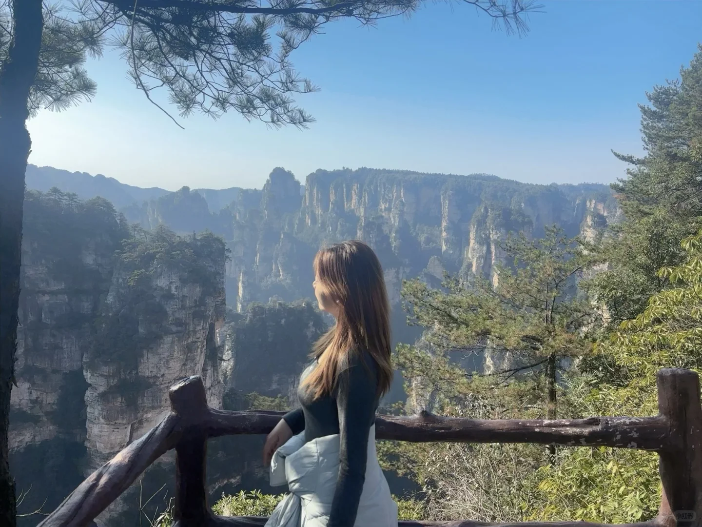 鹞子寨的风景也是美美哒小狗狗也是累累哒