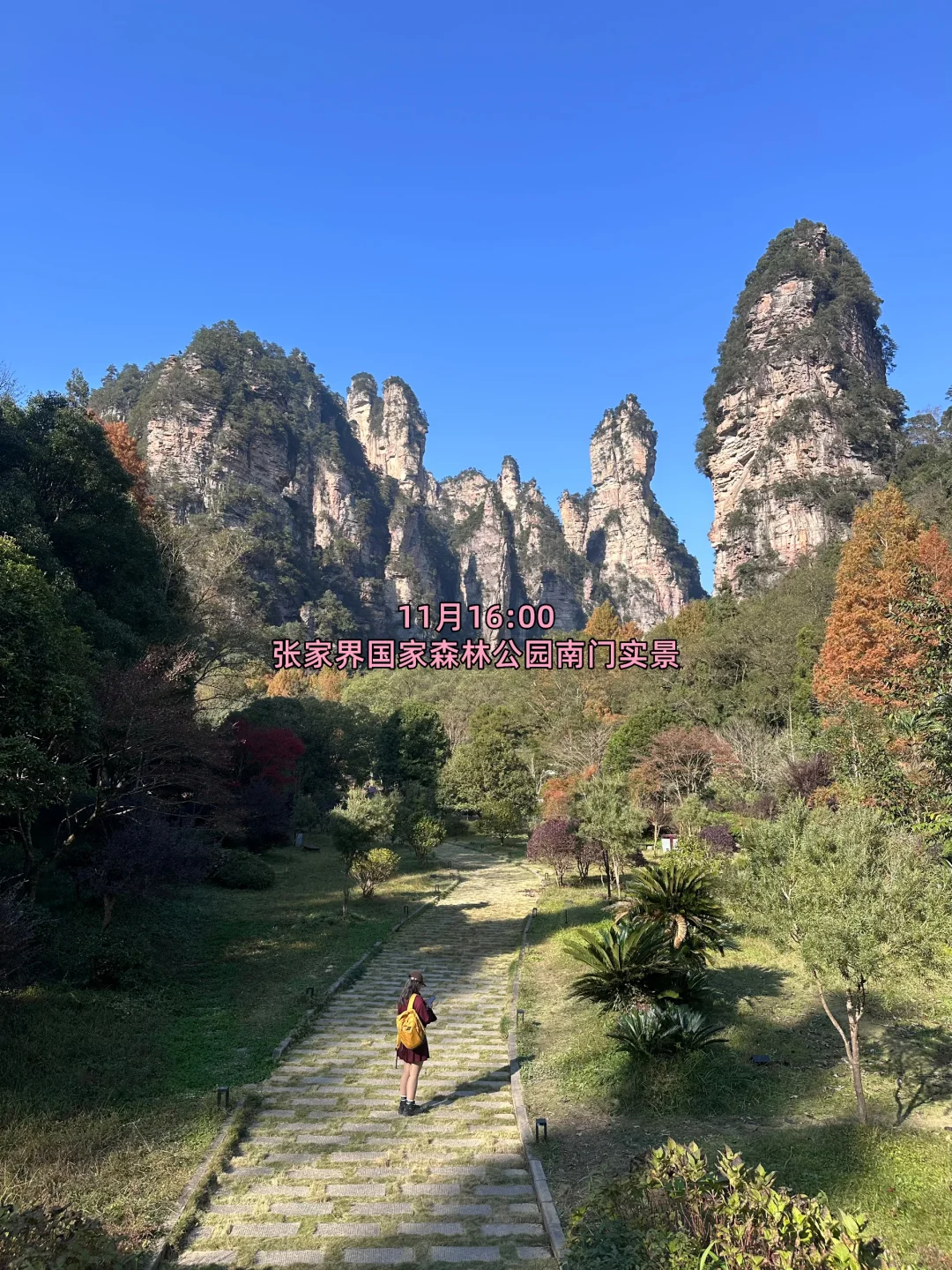 11月29日张家界景区实况