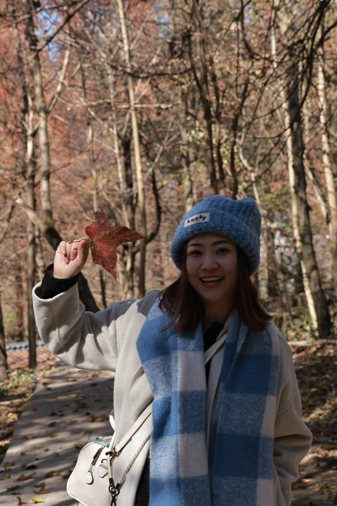 张家界森林公园游客照！是谁笑出了双下巴！