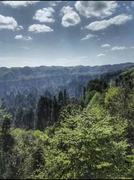 来来来，沉醉绝世美景