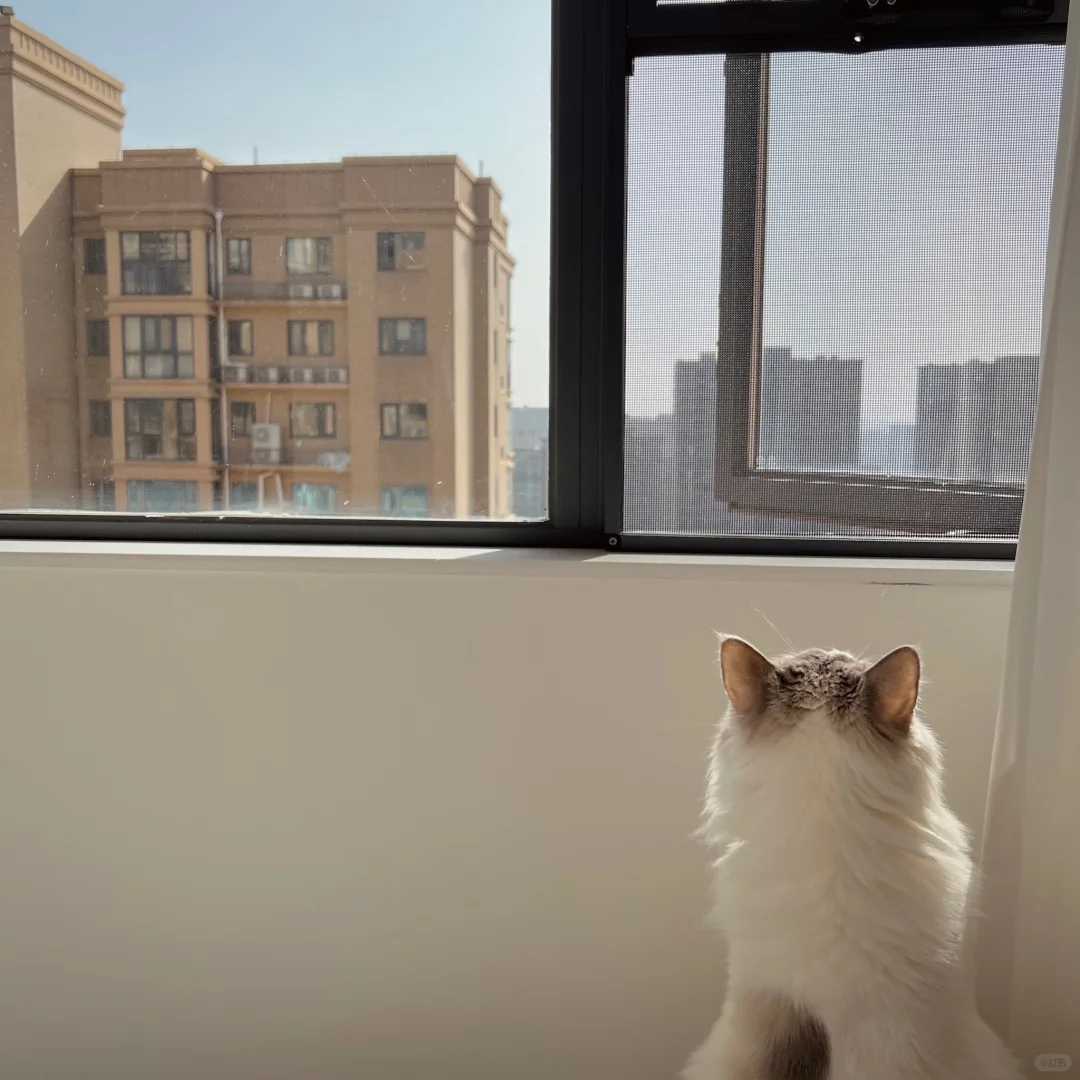 来长沙住我家～