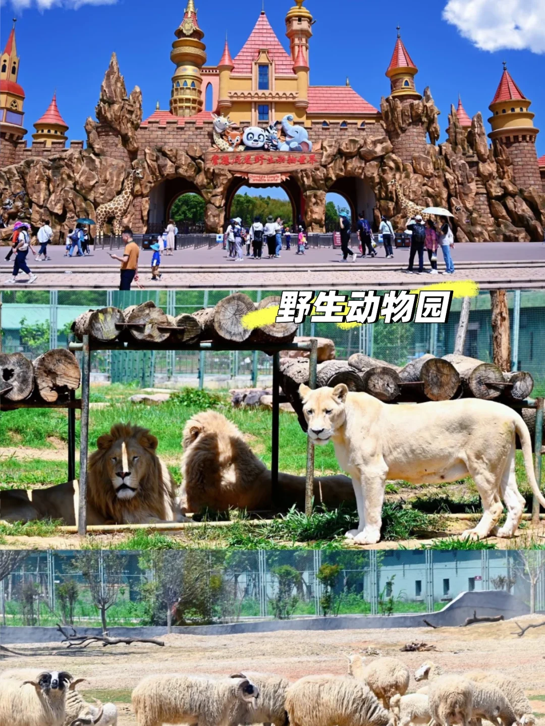 📍长沙周边游✅两天一晚常德亲子游玩攻略❗️