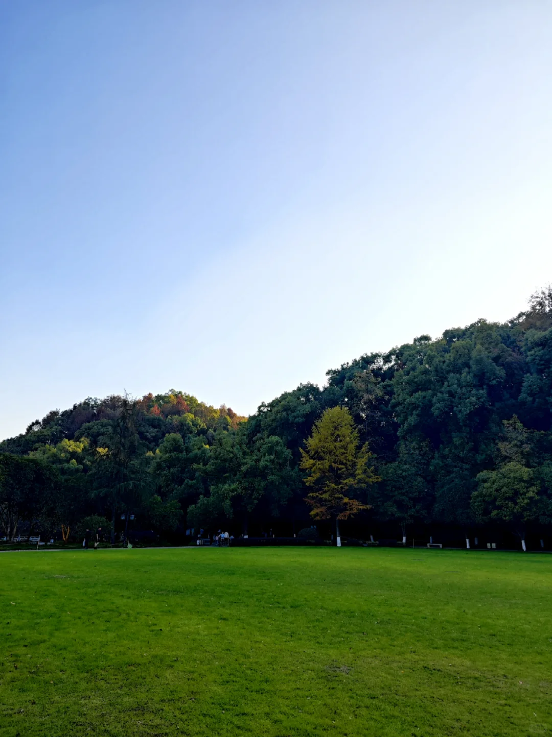 长沙的小众宝藏公园