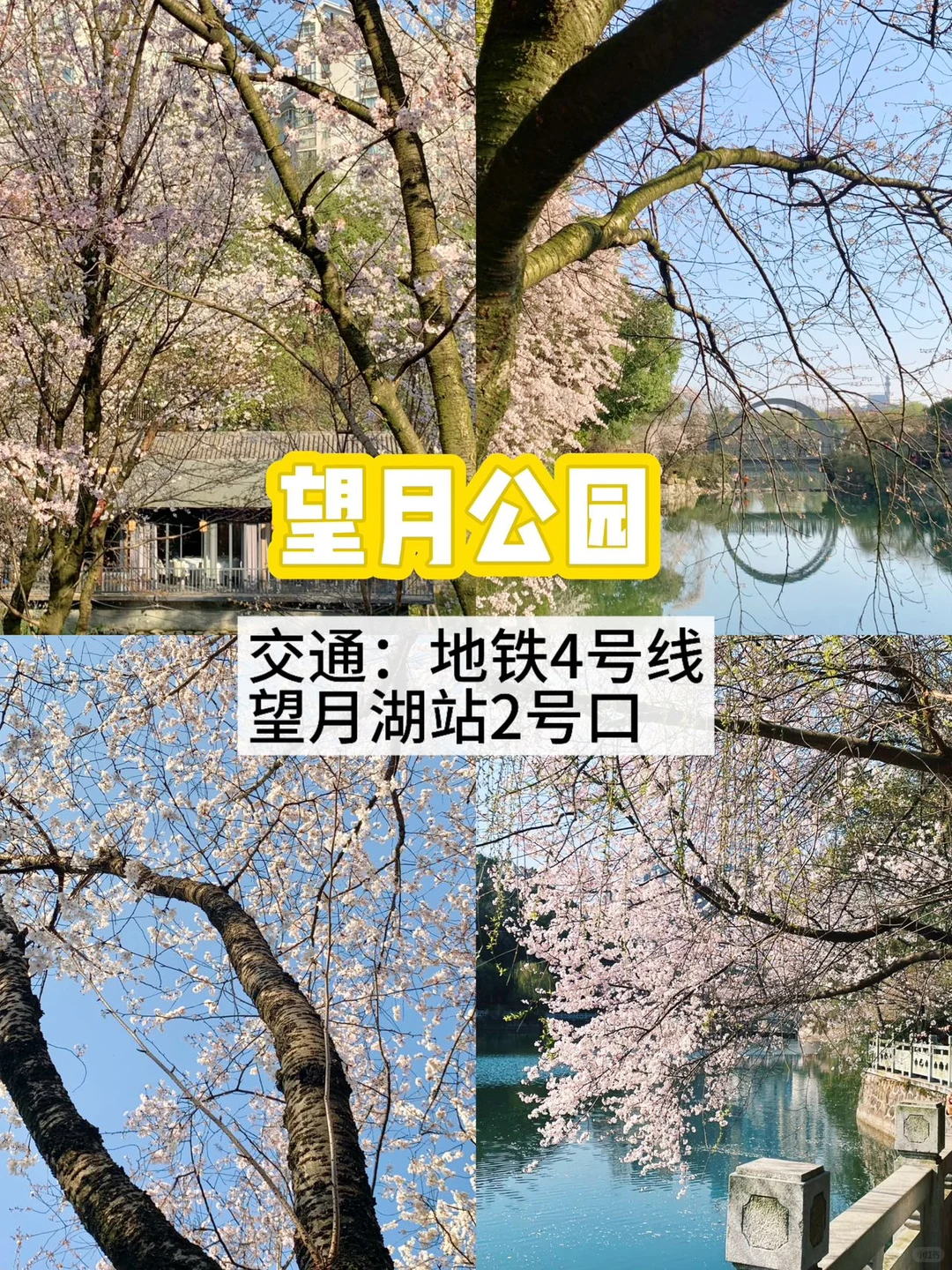在长沙📍不花钱可以待一整天的公园～