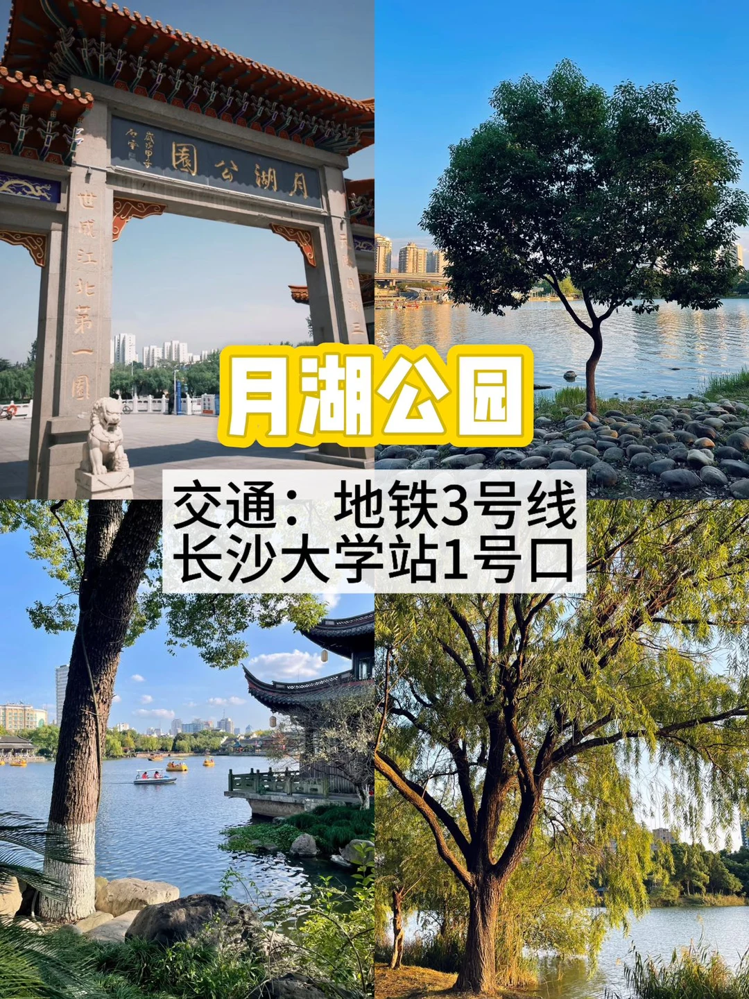 在长沙📍不花钱可以待一整天的公园～