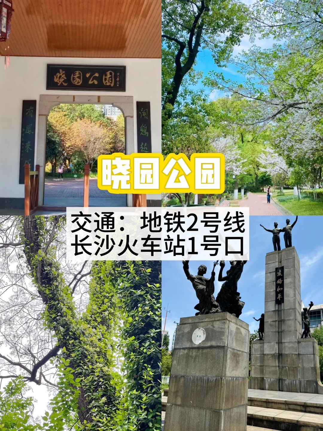在长沙📍不花钱可以待一整天的公园～