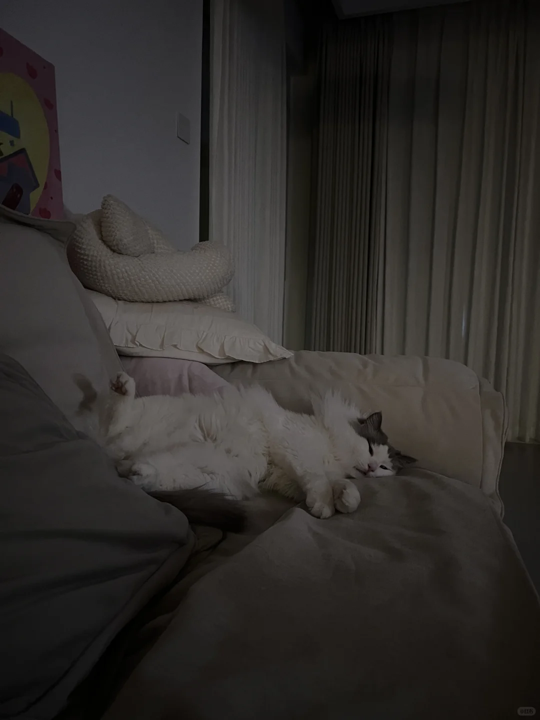 来长沙住我家～