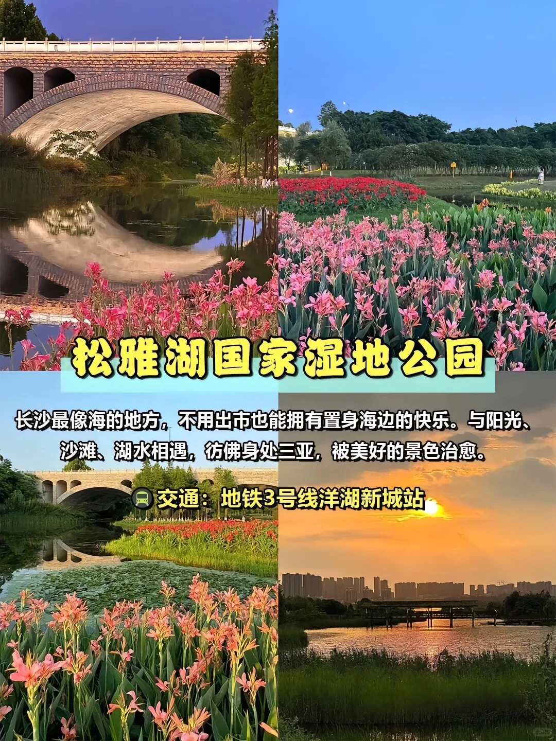 🌟长沙小众景点 | 不用人挤人的好去处🌟