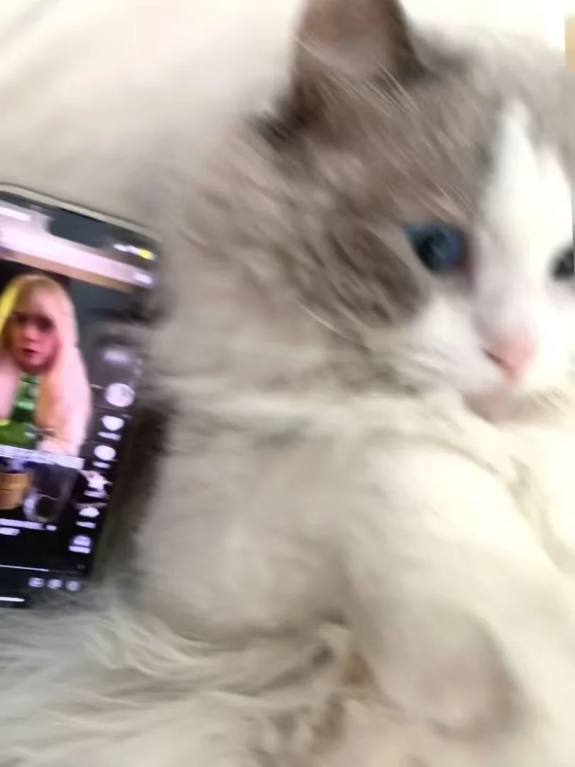 快圣诞出躺远门 长沙没地方住的可以来我家