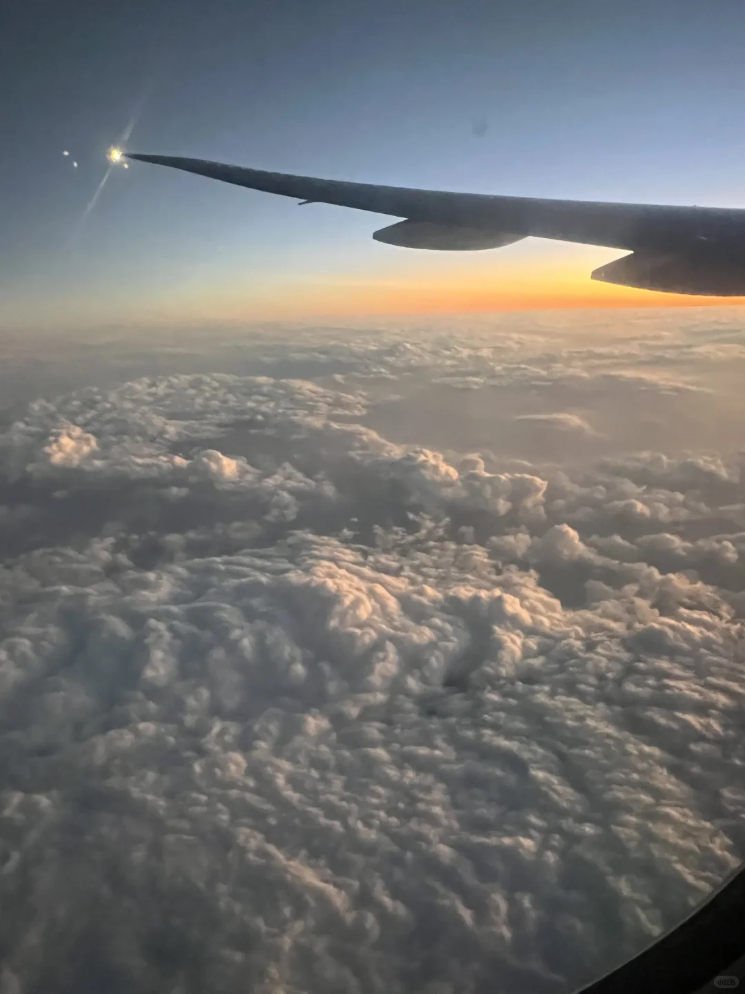 留子回国无社交