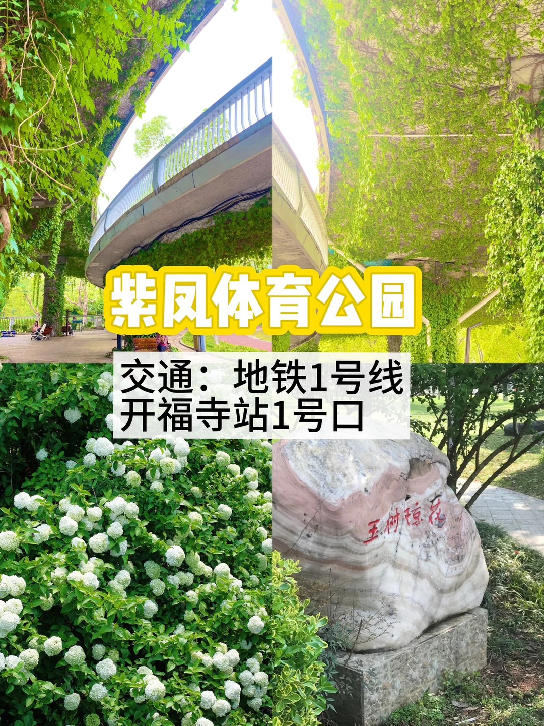 在长沙📍不花钱可以待一整天的公园～