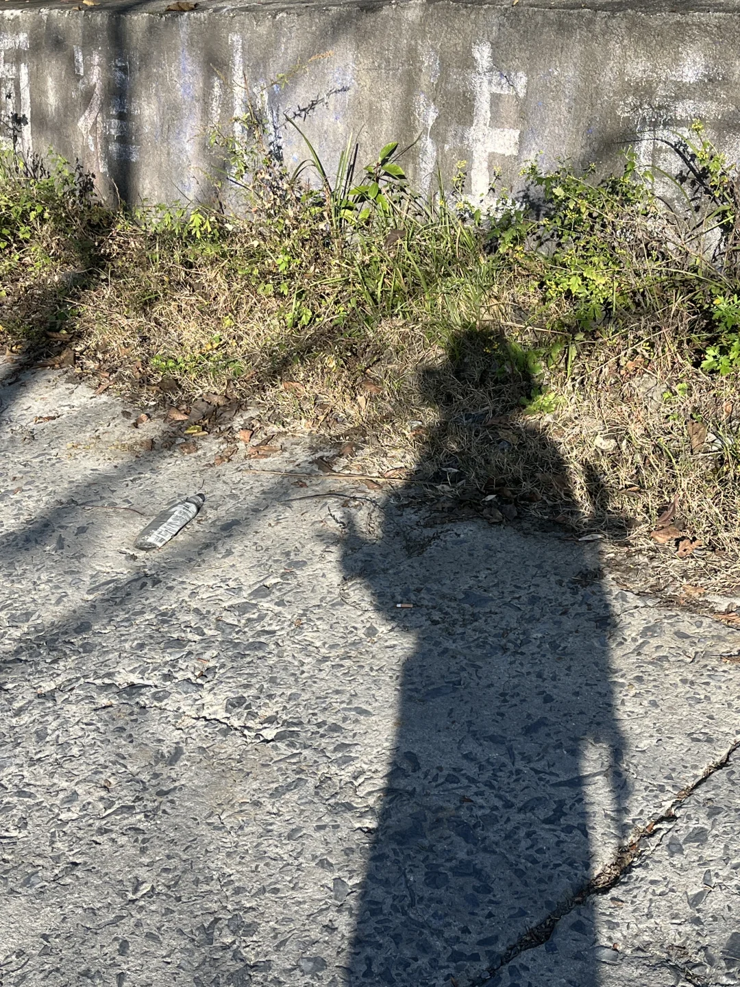 ⛰️ 在长沙，该不会还有人一个人爬山吧？