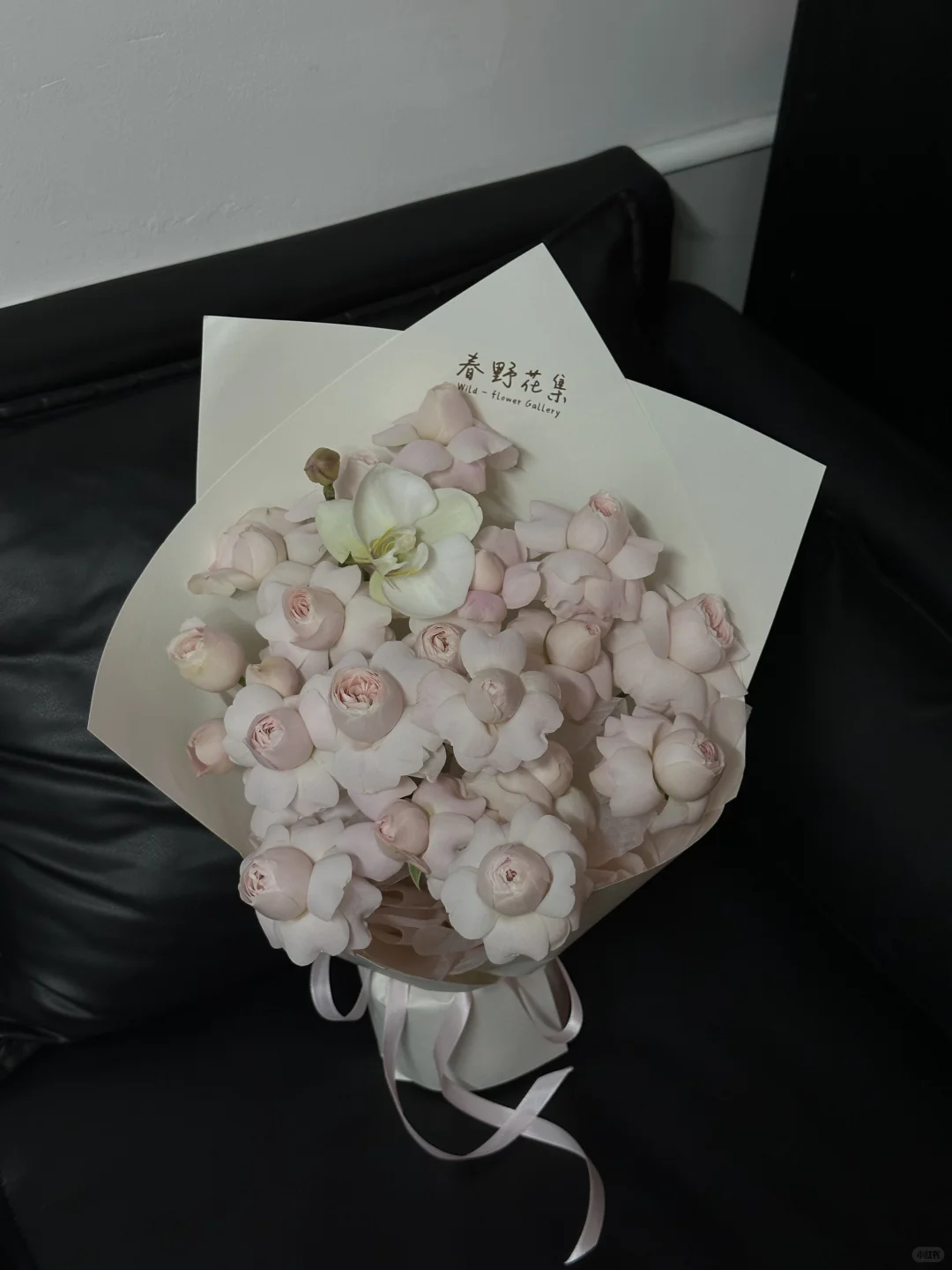 常德花店｜最爱的仙子之吻🫧