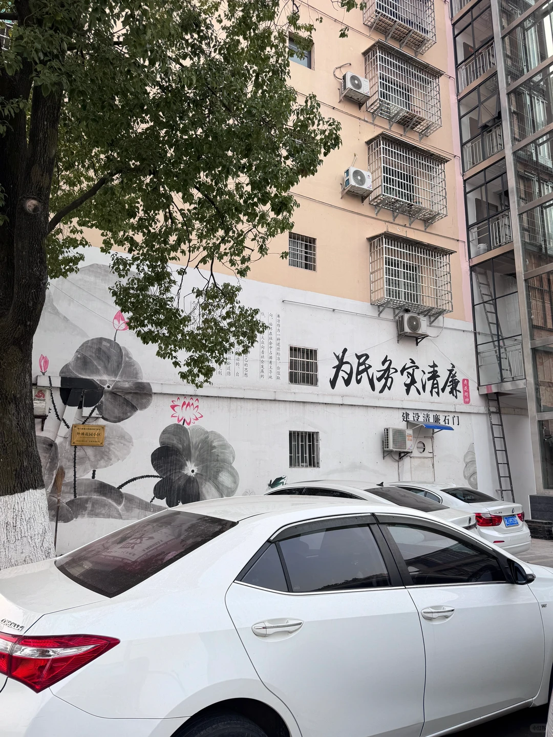 这是小县城？这里的官员清不清廉不知道