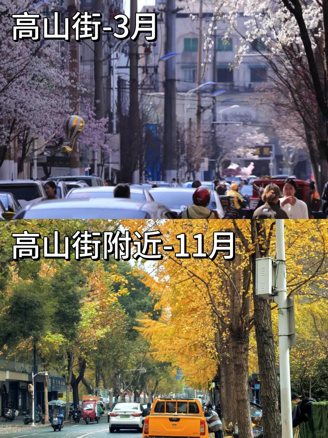 湘遇湘行之玩嗨常德篇