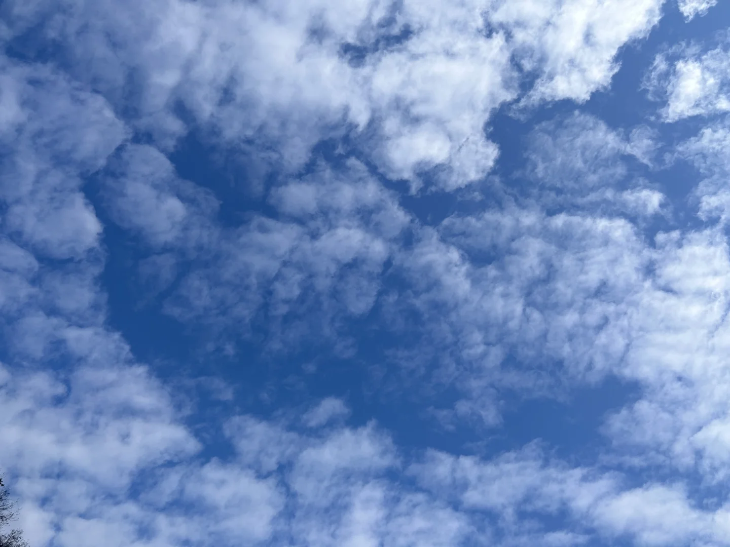 今天的张家界天门山也太好看了吧～