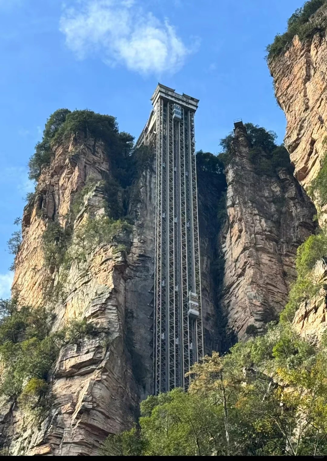 张家界国家森林公园⛰️阿凡达取景地