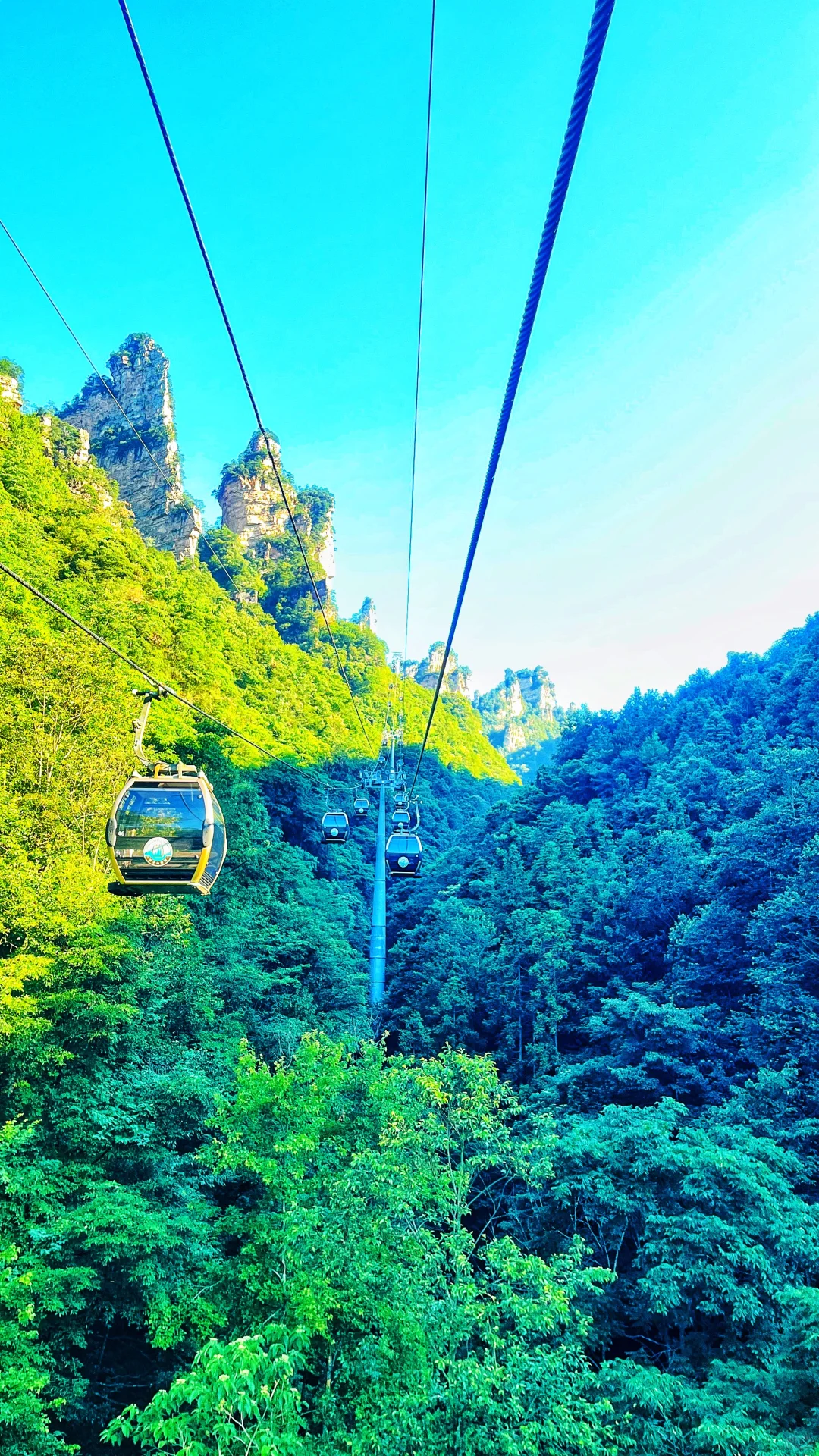 张家界|藏在仙境里的奇峰峻岭