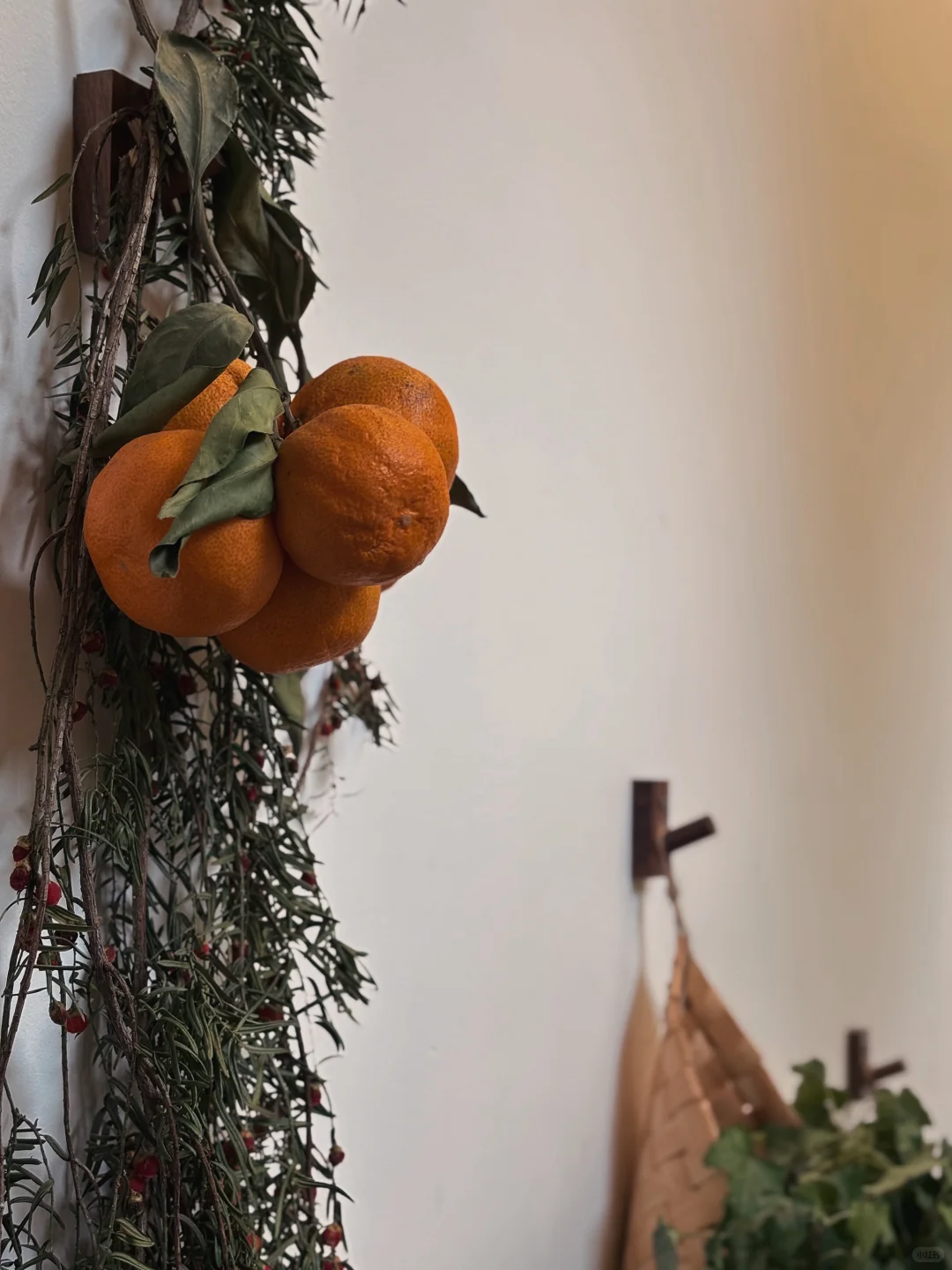 张家界这家新店 像闯入漫画世界一样🍣🍘