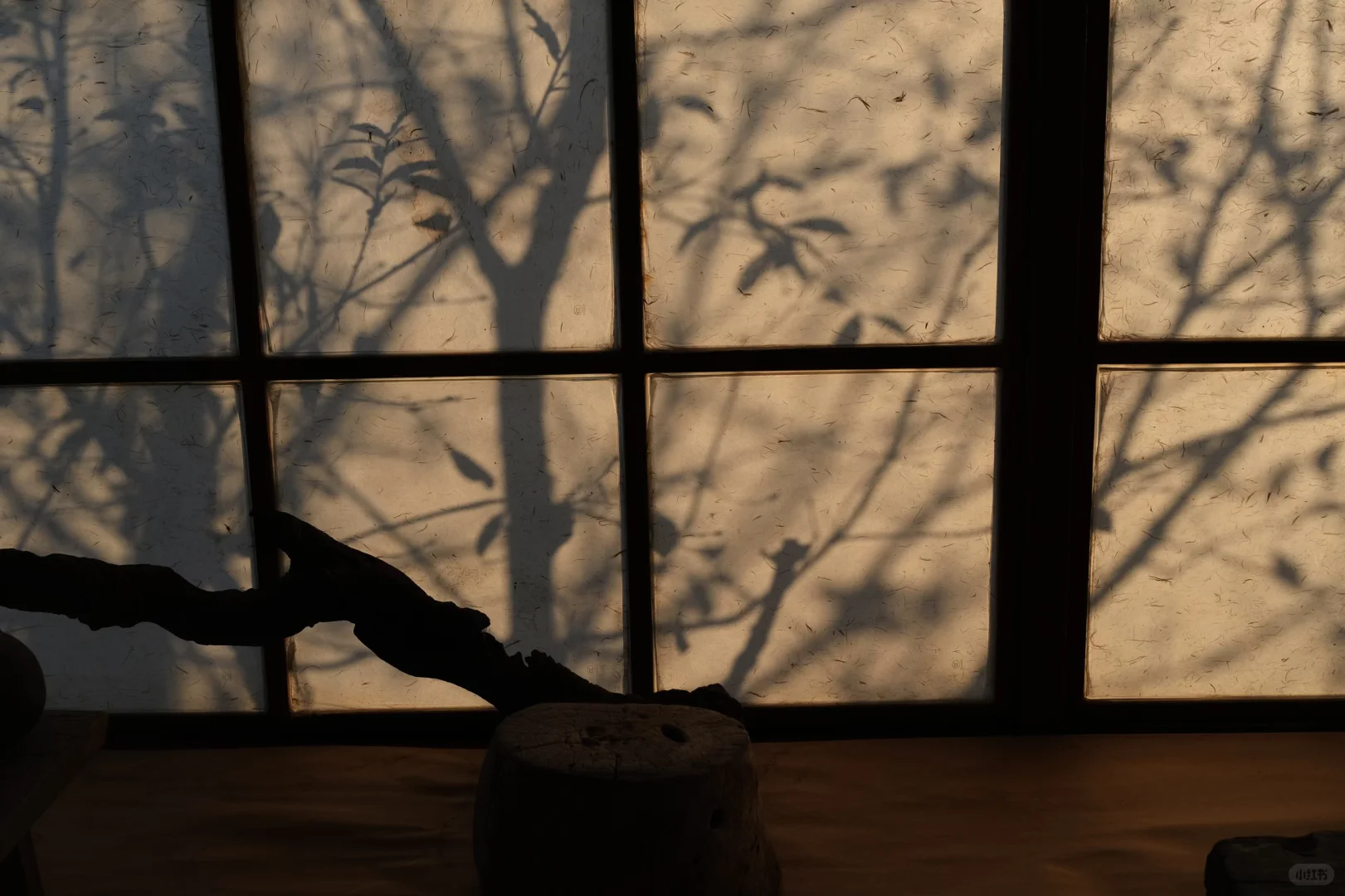 住进这家悬崖民宿｜承包一整座山的秋天‼️