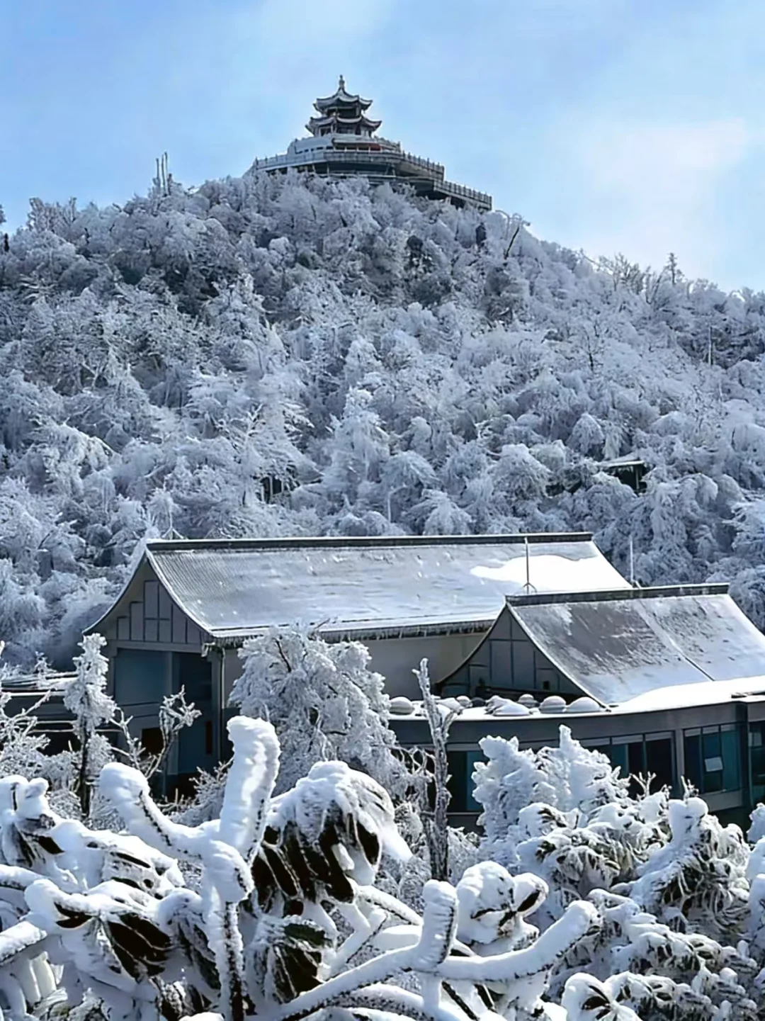 2025张家界冬雪实录❄️两天一夜沉浸式玩雪