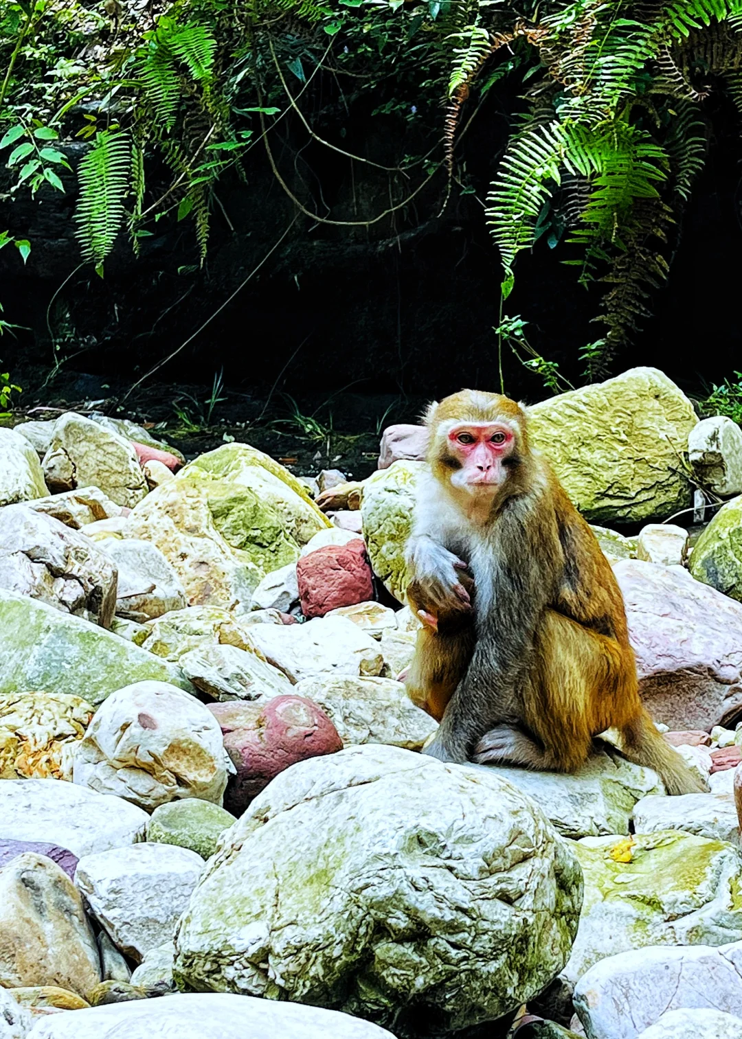 张家界|藏在仙境里的奇峰峻岭