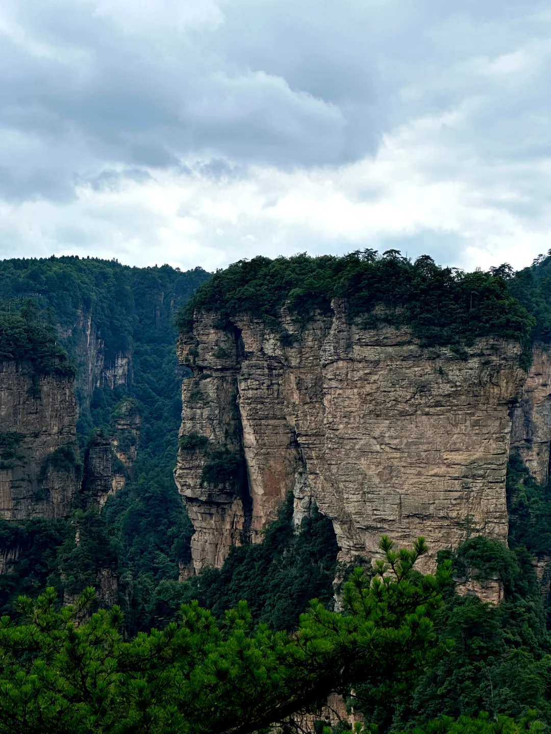 张家界森林公园保姆级攻略🏞️