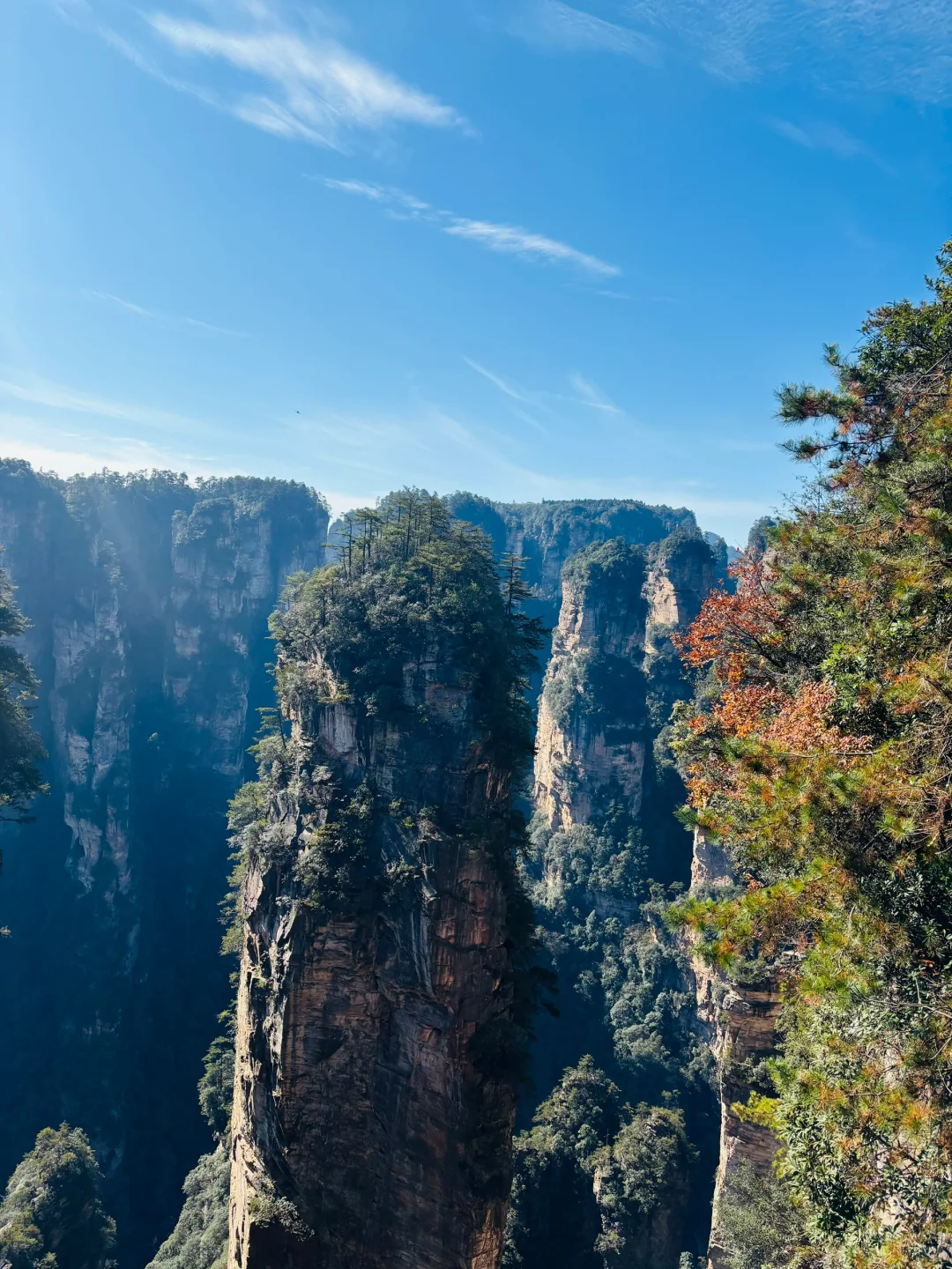 张家界森林公园11月22日现状⛰️天气很好