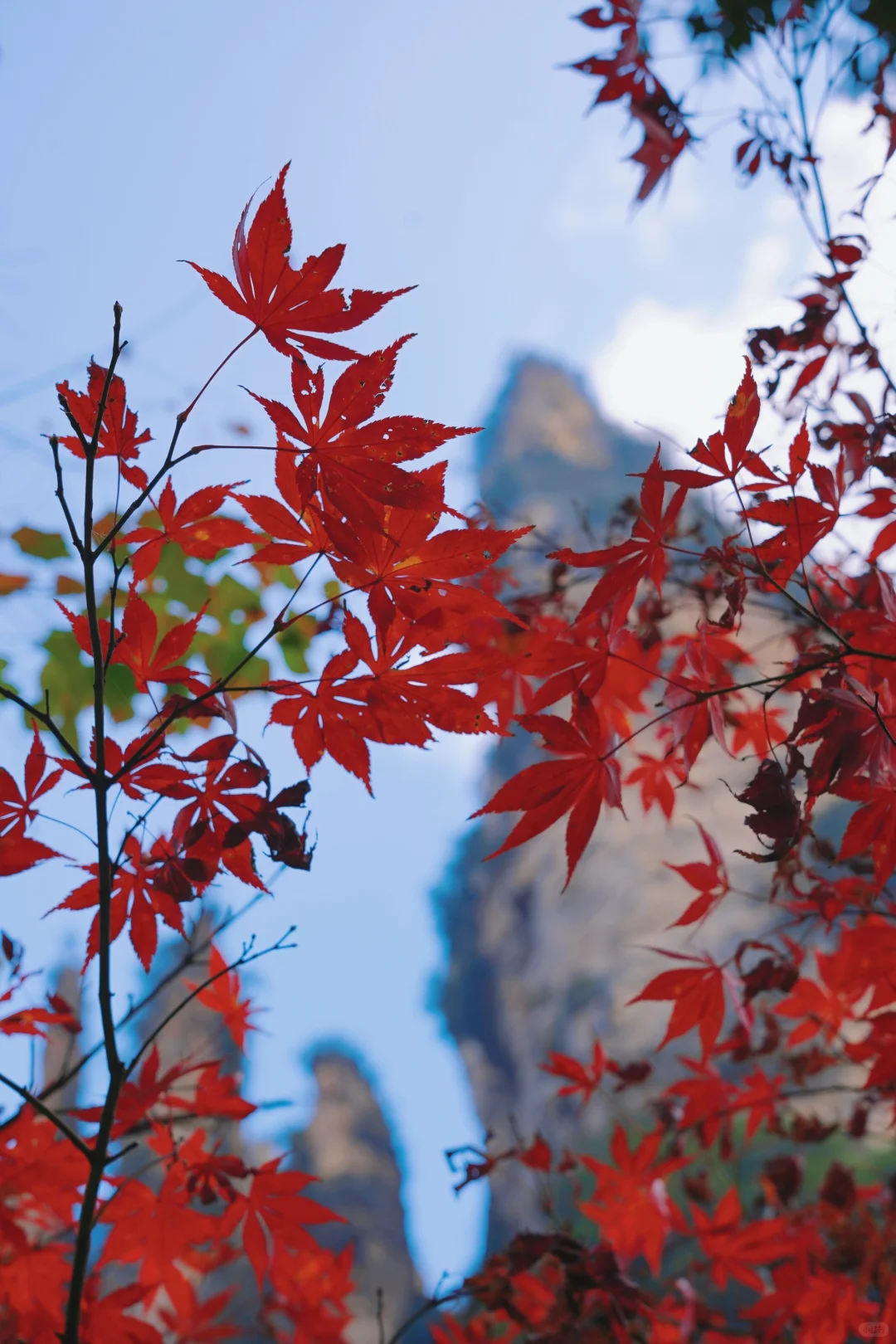 张家界的深秋绝美啊～