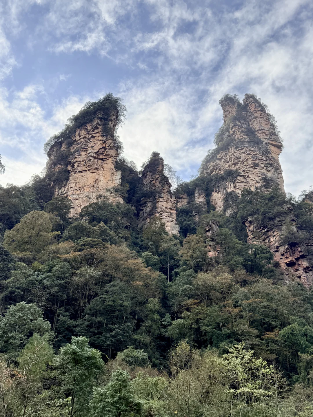 11.11的张家界森林公园