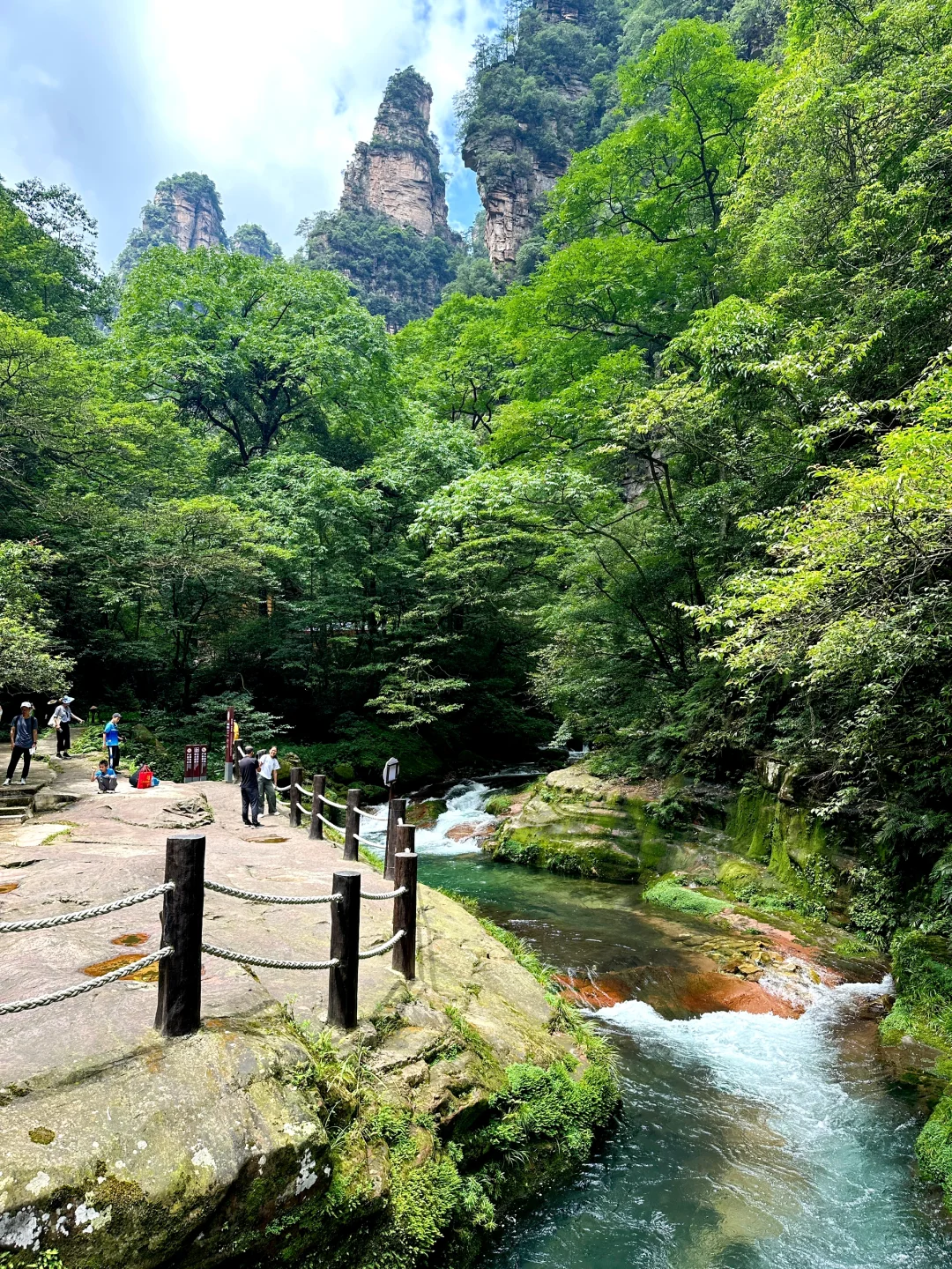 张家界森林公园保姆级攻略🏞️