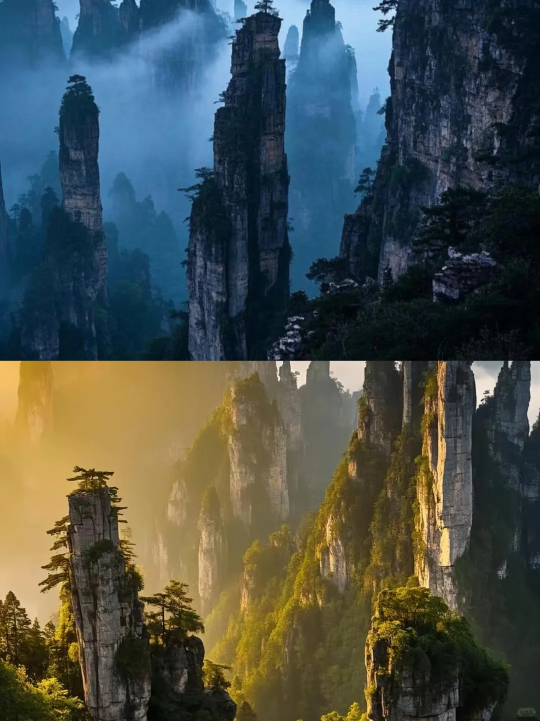 来张家界怎么玩❓跟团or自由行🌈看就懂