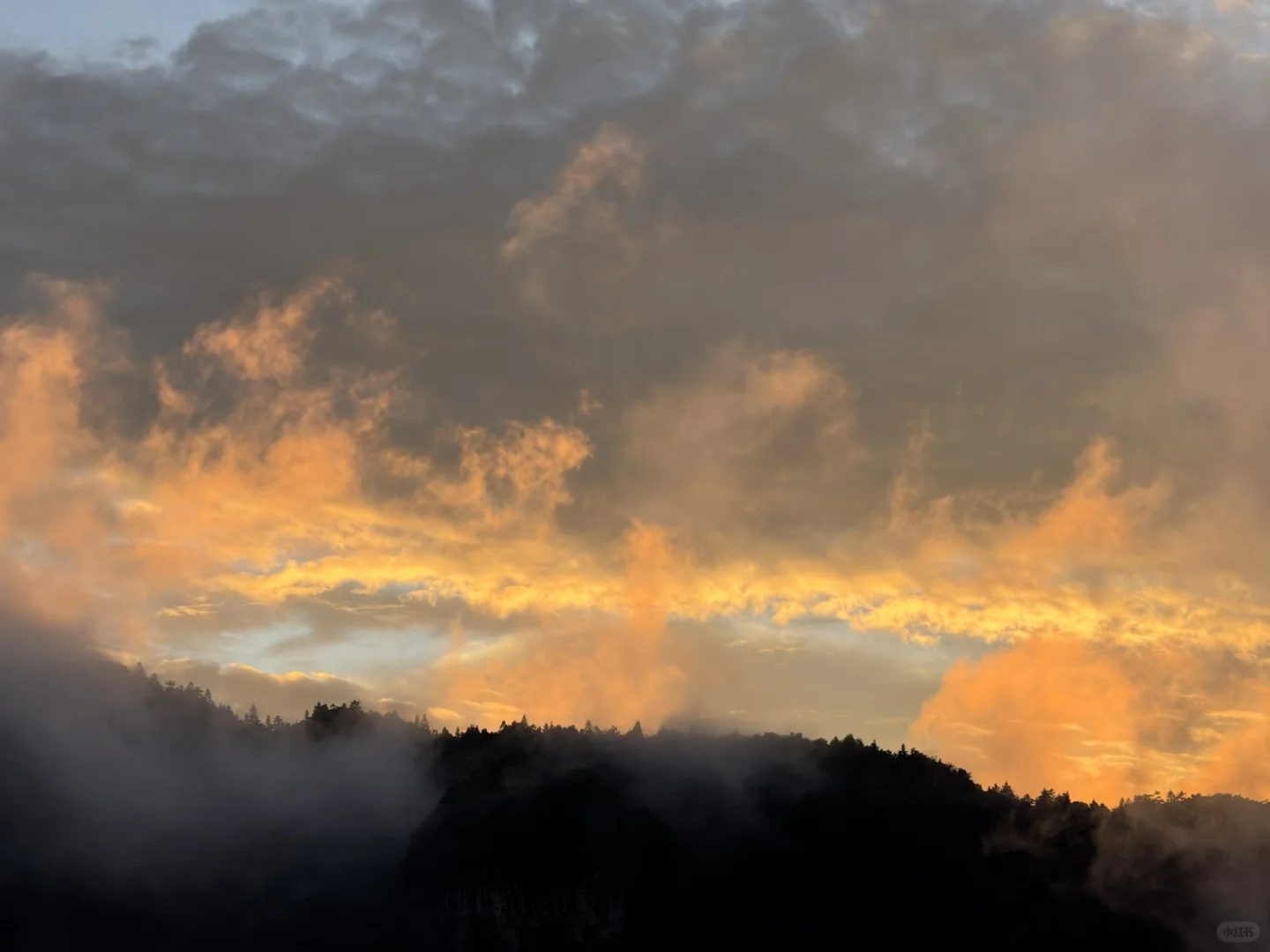 9.15实况 张家界国家森林公园