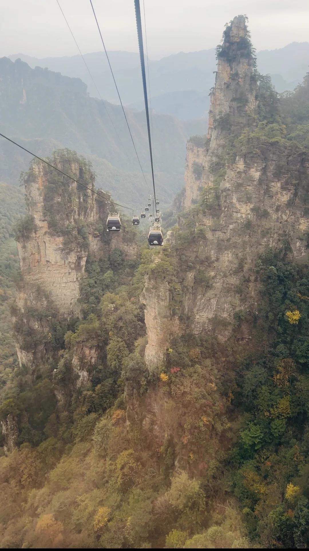 11.11的张家界森林公园