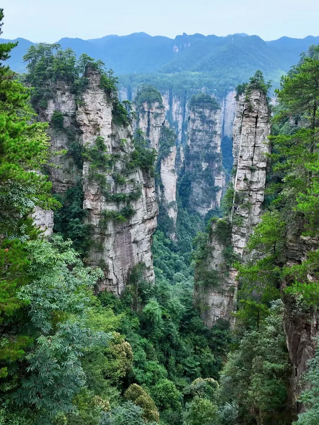 去了张家界武陵源，感觉其他山就不想去了
