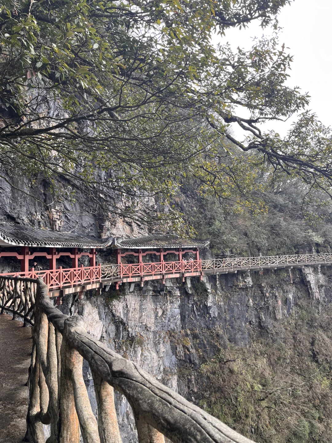 📍张家界 ｜天门山（附淡季游攻略）