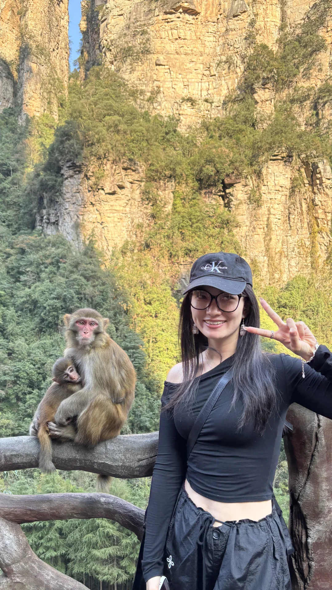 张家界山里好多猴🐒