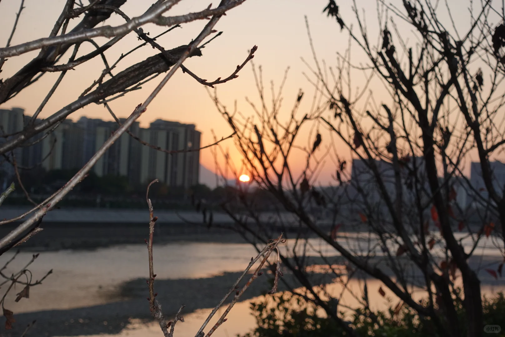 到站张家界第一天