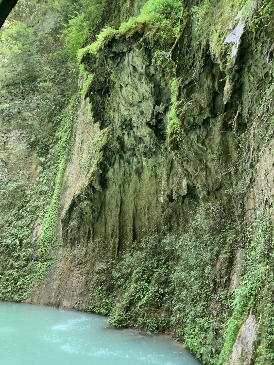 张家界大峡谷 | 神级live图