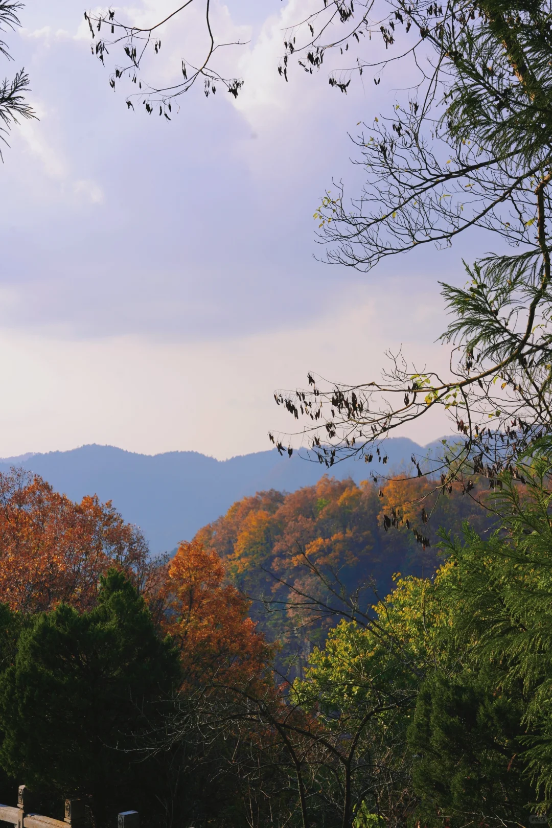 张家界的深秋绝美啊～