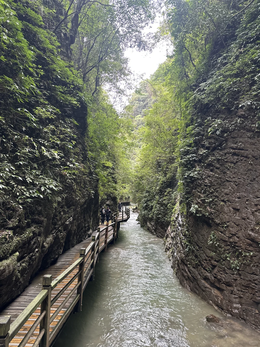 来到张家界，被挤到吵到还是能享受山的惊喜