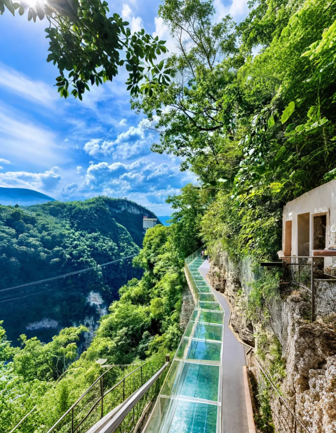 🌿张家界大峡谷｜被低估的治愈系秘境🫧