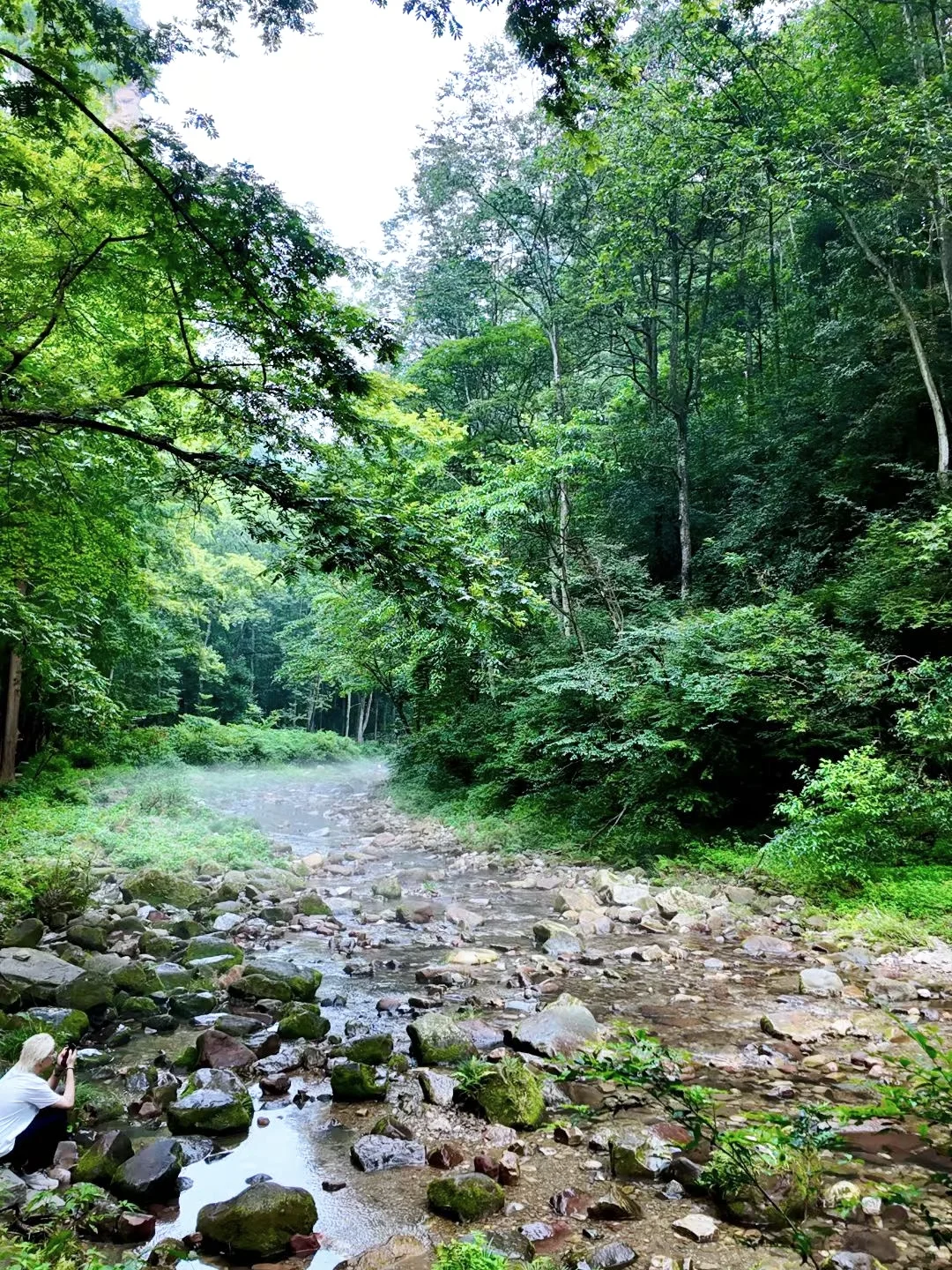 去了张家界武陵源，感觉其他山就不想去了